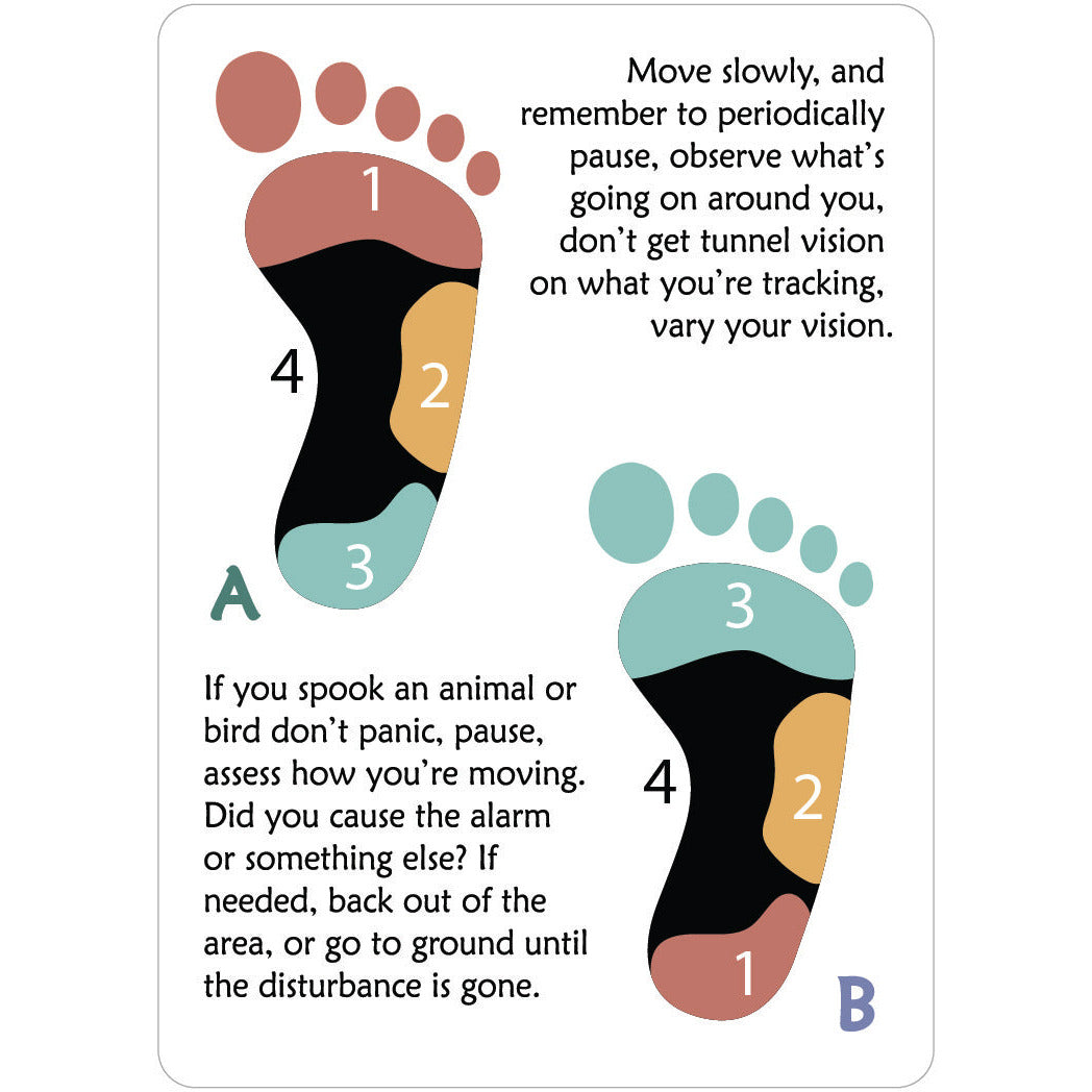 How to Stalk. Silva Tracking Flashcards